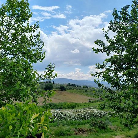 Agriturismo Fattoria Di Maiano Fiesole Luaran gambar