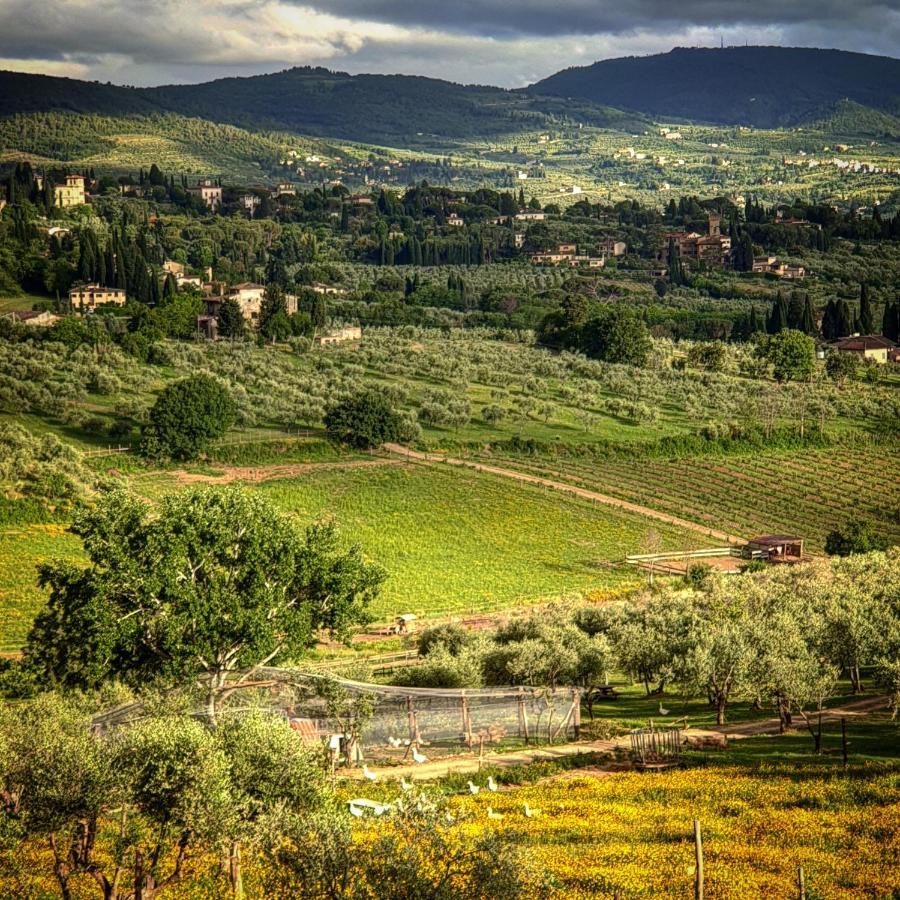 Agriturismo Fattoria Di Maiano Villa Fiesole Luaran gambar