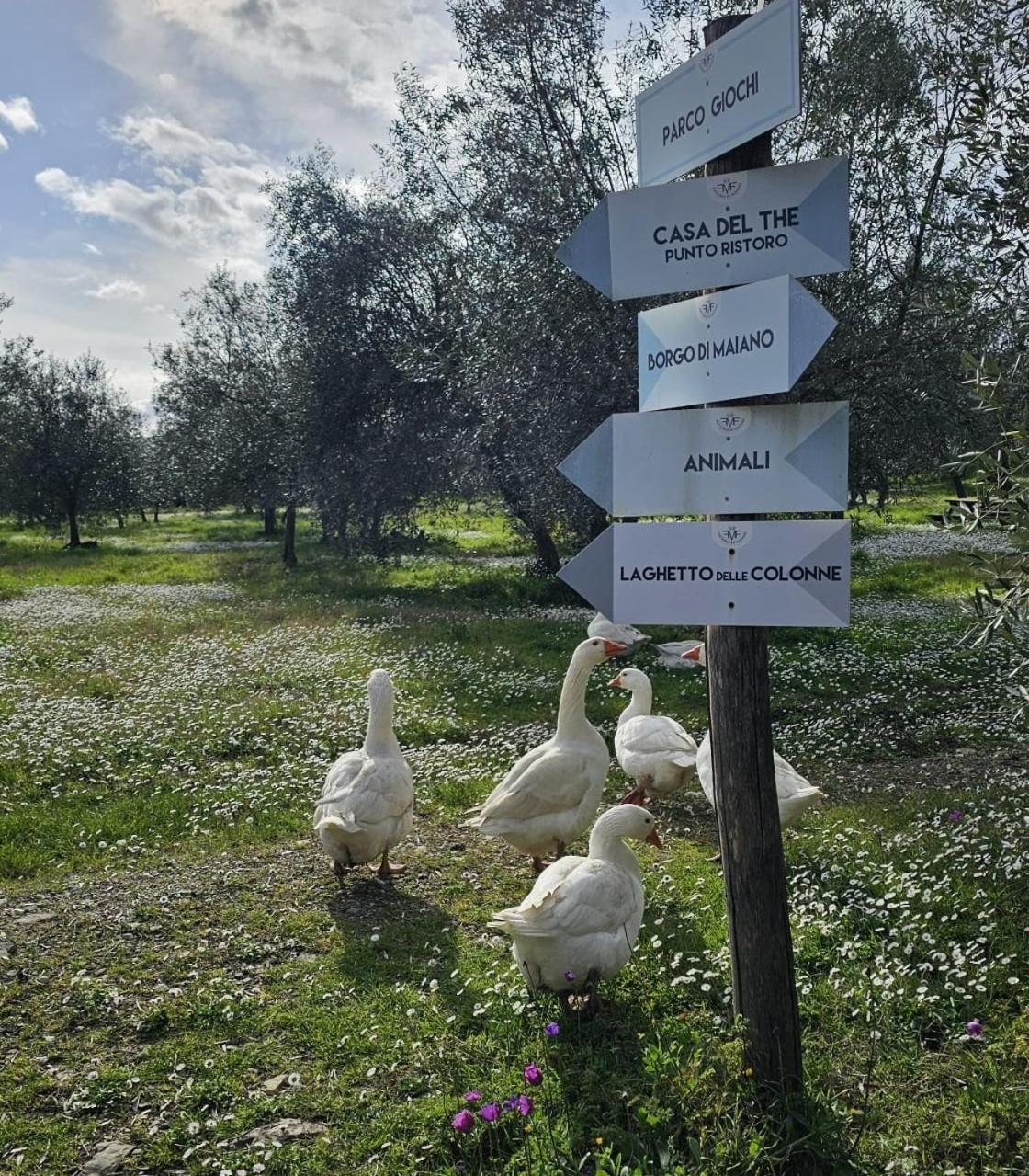 Agriturismo Fattoria Di Maiano Fiesole Luaran gambar