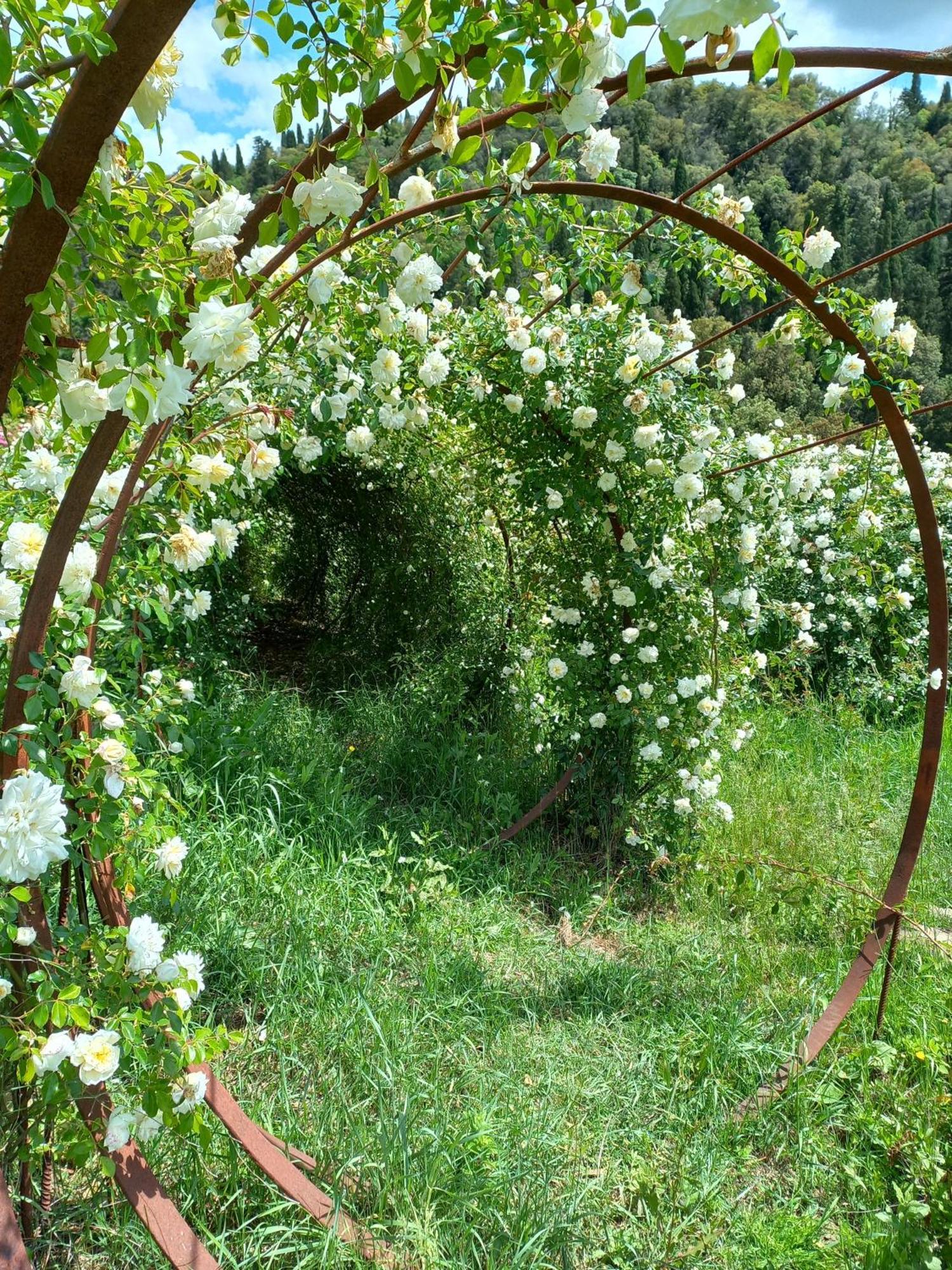 Agriturismo Fattoria Di Maiano Fiesole Luaran gambar