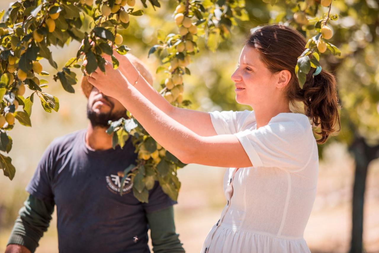 Agriturismo Fattoria Di Maiano Fiesole Luaran gambar